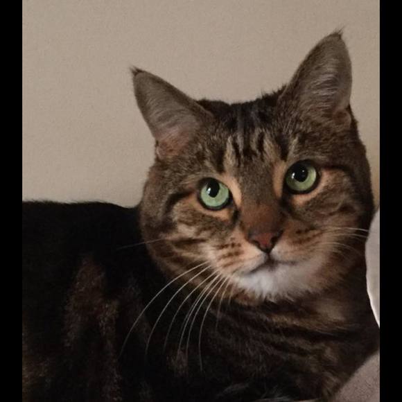 Meet your Posher, Allison - Picture 1 of 3